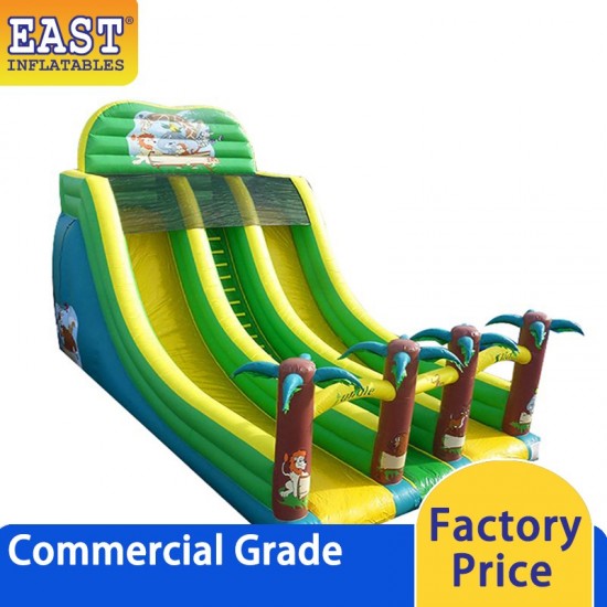 Inflatable Jungle Double Line Slide