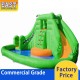 Kids Inflatable Water Slide