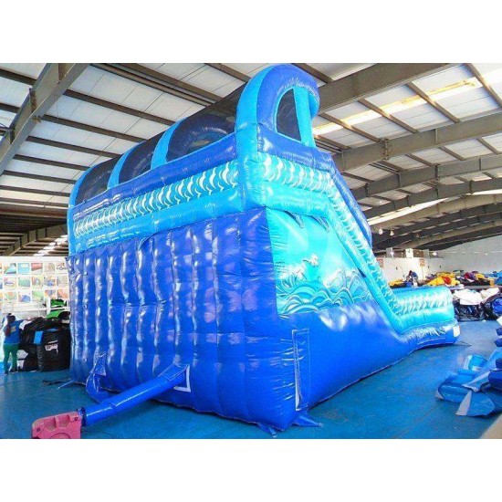 Double Water Slide Inflatable